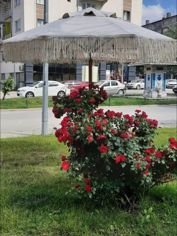 Ahşap Bahçe,Otel,Kafe,Plaj Şemsiye ,Makrome Şemsiye