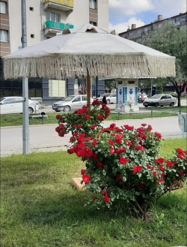 Ahşap Bahçe,Otel,Kafe,Plaj Şemsiye ,Makrome Şemsiye